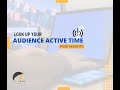 Facebook Audience Active Time