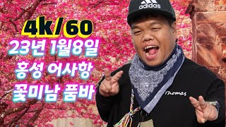 23년 1월8일 충남 홍성 어사항 꽃미남 품바 공연 영상입니다