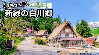 Walking around the World Heritage Site Shirakawa-go | Gassho-zukuri and beautiful nature in spring