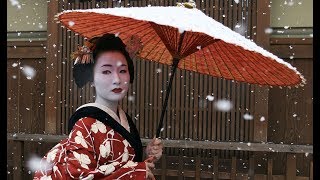 The Secret World Of Geishas