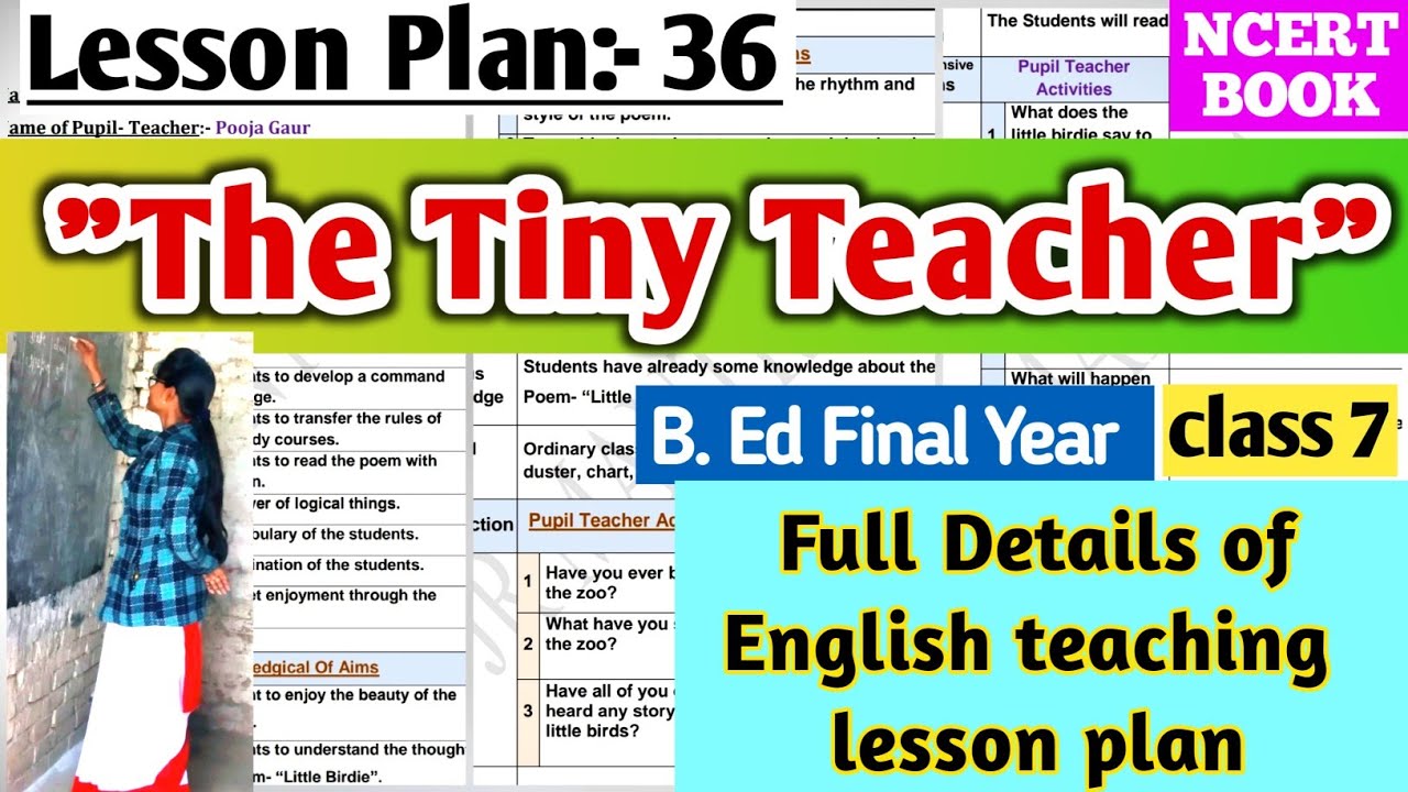 "The Tiny Teacher" Lesson Plan Of Class 7 NCERT BOOK| B.Ed Final Year ...