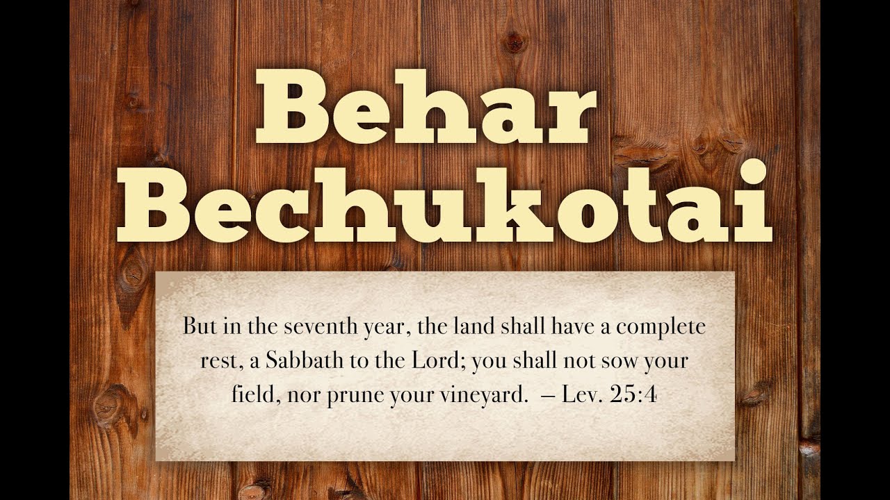 A Sabbatical Year For The Land - Parashat B'har B'chukotai - YouTube