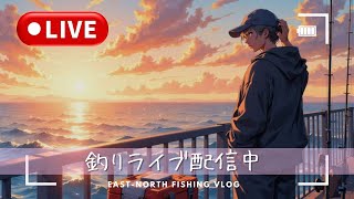 シーバスLIVE配信