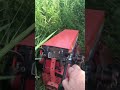 gravely professional 12