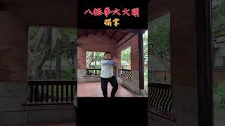 八極拳-搨掌 #bajiquan #kungfu #martialarts #forms