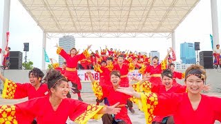 [4K]神戸学生よさこいチーム湊　KOBE ALIVE2017 メリケンAnnversary Stage