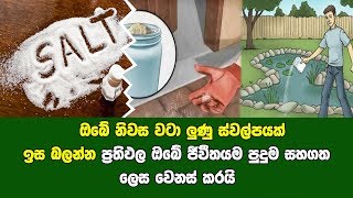 ඔබේ නිවස වටා ලුණු ස්වල්පයක් ඉස බලන්න | ප්‍රතිඵල ඔබව මවිතයට පත් කරාවි..!