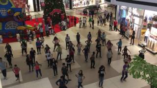 Flashmob en Paseo La Galería