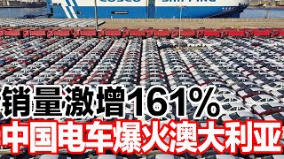 销量激增161%，中国电车爆火澳大利亚