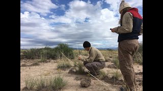 Lessons given and learned from rangeland monitoring courses - Beth A. Newingham