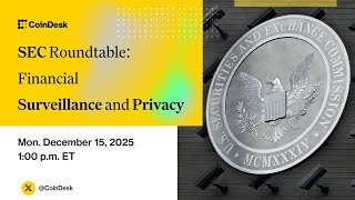SEC Roundtable: Financial Surveillance and Privacy