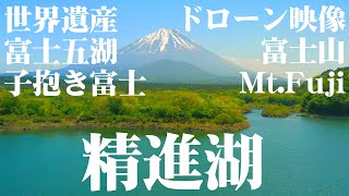 精進湖 4K ドローン映像 Lake Shoji Drone Video