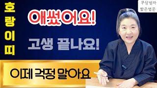 하나만 조심하세요 !!나이에 따른 호랑이 운세 (을사년 운세)