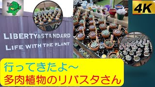 🌵行ってきたよ～　多肉植物のリバスタさん（4K映像）