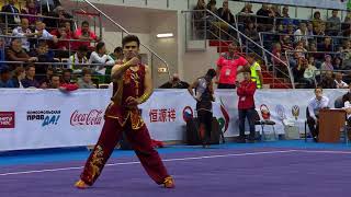 14th WWC - Men's Nanquan - Farshad ARABI (IRI)