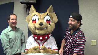 Meet Chico, the El Paso Chihuahuas' Official Mascot