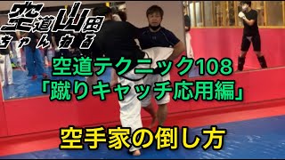 【武道】空道テクニック108「蹴りキャッチ応用編」【格闘技】