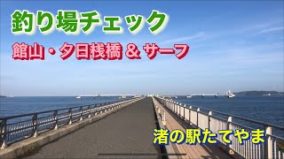 館山 夕日桟橋（渚の駅たてやま）釣り場チェック