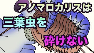 アノマロカリスは三葉虫を砕けない　地球の歴史　その２８　固いものを食べられないその理由とは？