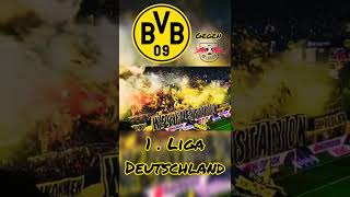 Borussia Dortmund Pyro/ BvB Borussia Dortmund - RB Leipzig #shorts #bvb #borussiadortmund