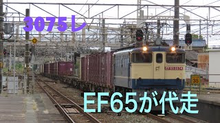 3075レ　EF65代走で豊橋駅通過