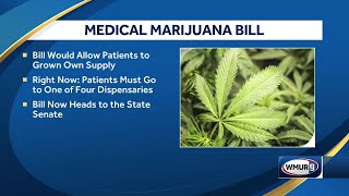 Bill would allow patients to grown medical marijuana