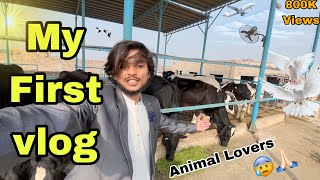 My First Vlog 🔥 || My First Vlog Viral Kaise Kare || My First Vlog Viral Trick 🎁💥