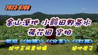 2023 0706 金山溼地 小鹤田野茶水   荷花田 空拍