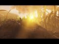 Grounded - Shine and Rise