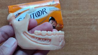 Carving Of MANDIBLE (LOWER JAW) || SOAP CARVING || HALF CUT MANDIBLE || DENTAL ART ||