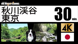 【ぼやき動画】秋川渓谷 東京あきる野市(山歩き)ハイキング,登山、渓谷巡り　夏　#ぼやき＃独り言 #秋川渓谷