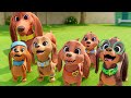 PRETZEL AND THE PUPPIES - Official Trailer (2022) Apple TV+