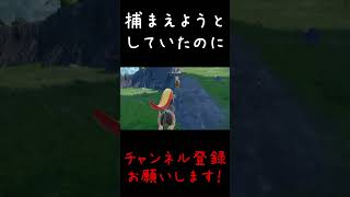 【ポケモンSV】なんで火炎放射当てたん！？？#Shorts