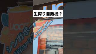 【生搾り自販機？】生搾りのオレンジジュース