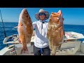 DEEP SEA Bottom Fish! Catch Clean Cook (Gulf of Mexico)