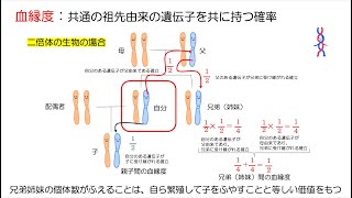 74高校生物「個体群内の相互作用」2023