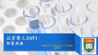 IVF輔導（普通話） 2 - 卵巢刺激