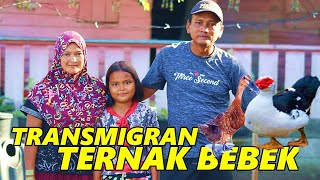 USAHA TERNAK BEBEK PAK DONI DI LAHAN TRANSMIGRASI SP9 DESA TANJUNG BUKA, KAB. BULUNGAN, KALTARA