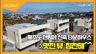 이런 곳이 제주지~ 한림에서 만나는 오션뷰\u0026한라산 뷰깡패 타운하우스♡