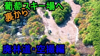 ぶどうスキー場へ裏から行けるかもしれない道探索③廃林道：空撮編　新潟県村上市