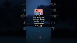 ইতিমধ্যে আপনি প্রেমে পরেছেন#status#subscribe #shortsfeed #vairalshort #emotionalstatus #ytshorts