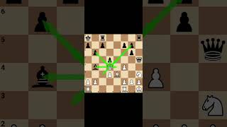 كيف تتحرك قطع الشطرنج 1كيف يتحرك الملك والوزير#chess #ches #boardgames