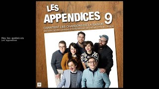 Les Appendices - Hey les Québécois [official audio]