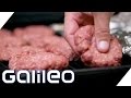 Zwei Länder, zwei Küchen: Kroatien und USA | Galileo | ProSieben