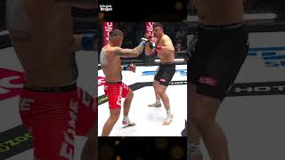 Alan Kwieciński nokautuje Wiewióra FAME MMA 17 #shorts