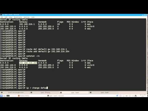 Change the default gateway in linux Change the default gateway in linux