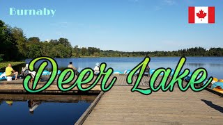 Deer Lake Walking Tour, Burnaby, British Columbia