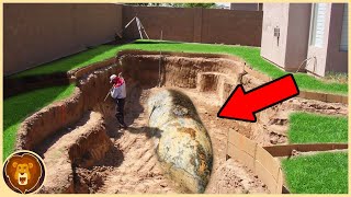 15 Craziest Things Discovered in Backyards