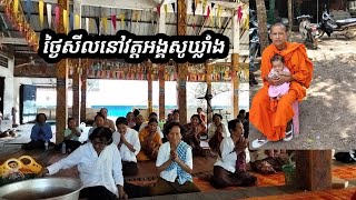 រីករាយជ្រះថ្លាថ្ងៃសីលនៅវត្តអង្គសូឃ្លាំងភូមិព្រៃនាងពួនឃុំជំរះពេនស្រុកសំរោងខេត្តតាកែវ