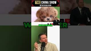 AI Robot Dog Scam EXPOSED! $1 vs $30